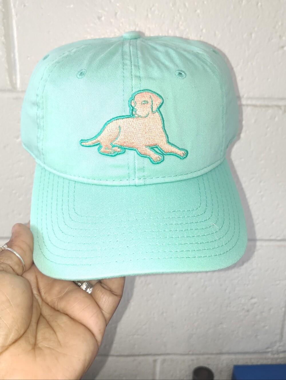 The Game Mint Green Baseball Cap with Peach Dog Embroidery